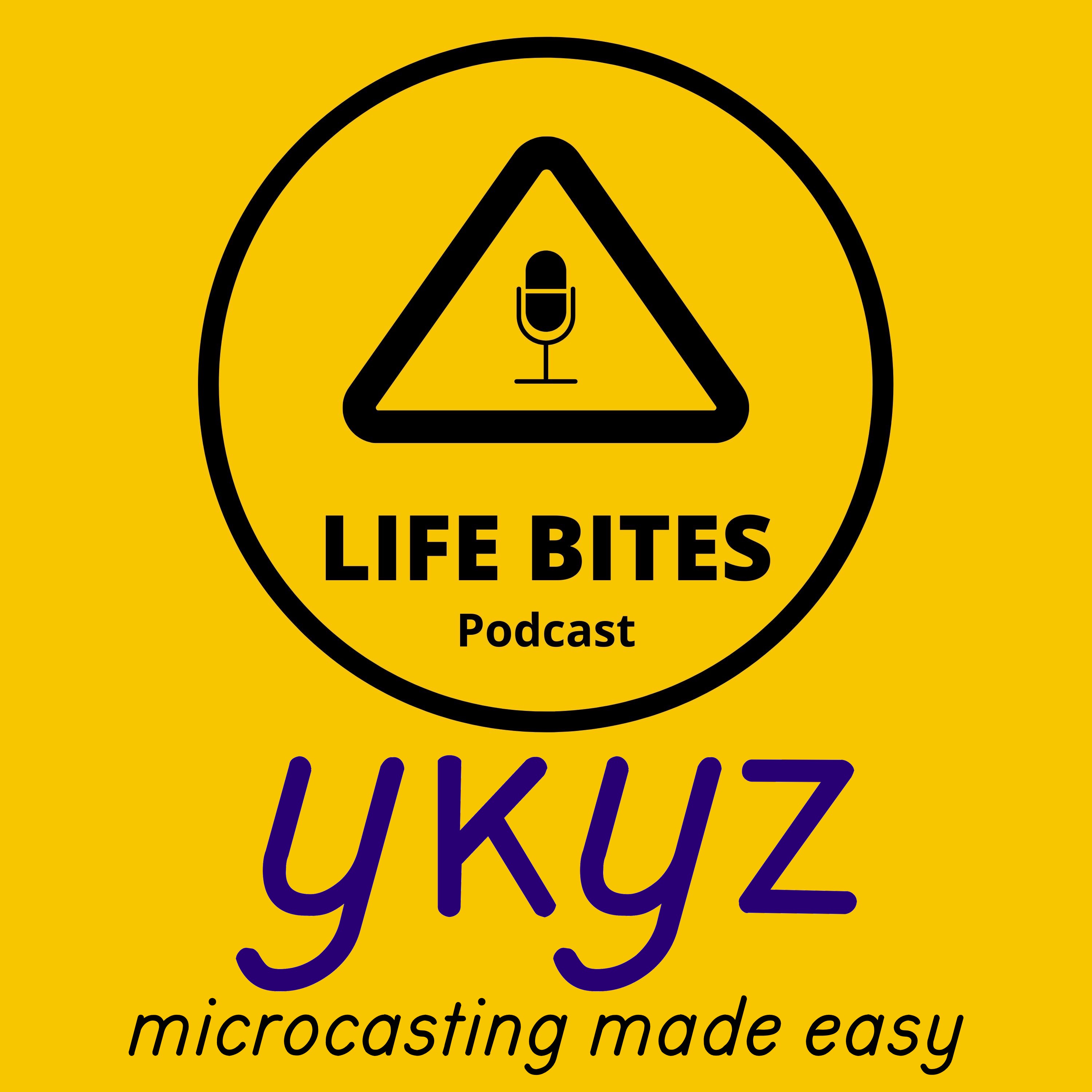 Life Bites Podcast microcast